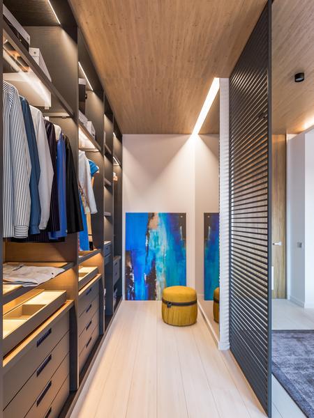 Walk-in-Closets-Inspiration-Cover-Image