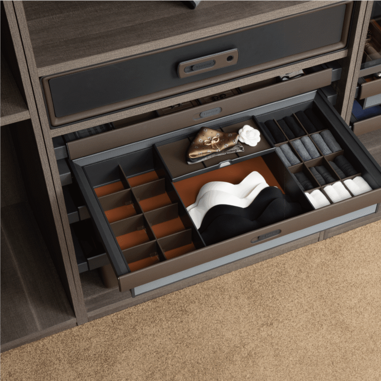 Lingerie Organizer Drawer
