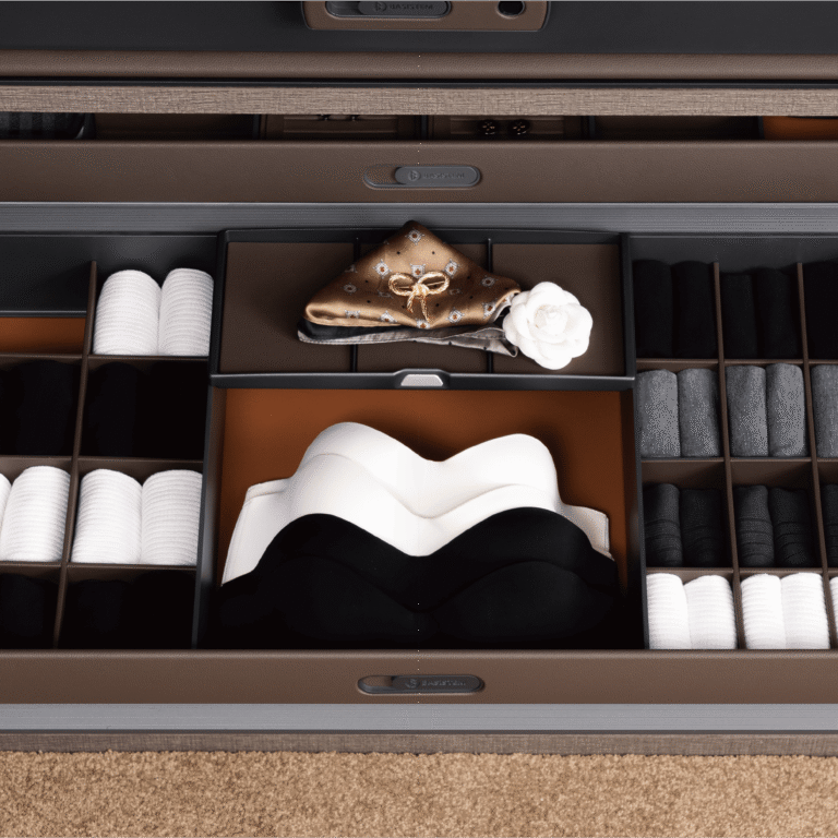 Lingerie Organizer Drawer