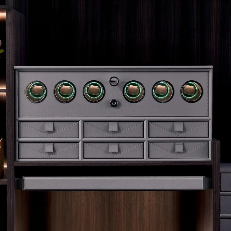 Smart Cabinet With Watch Winder And Fingerprint Lock